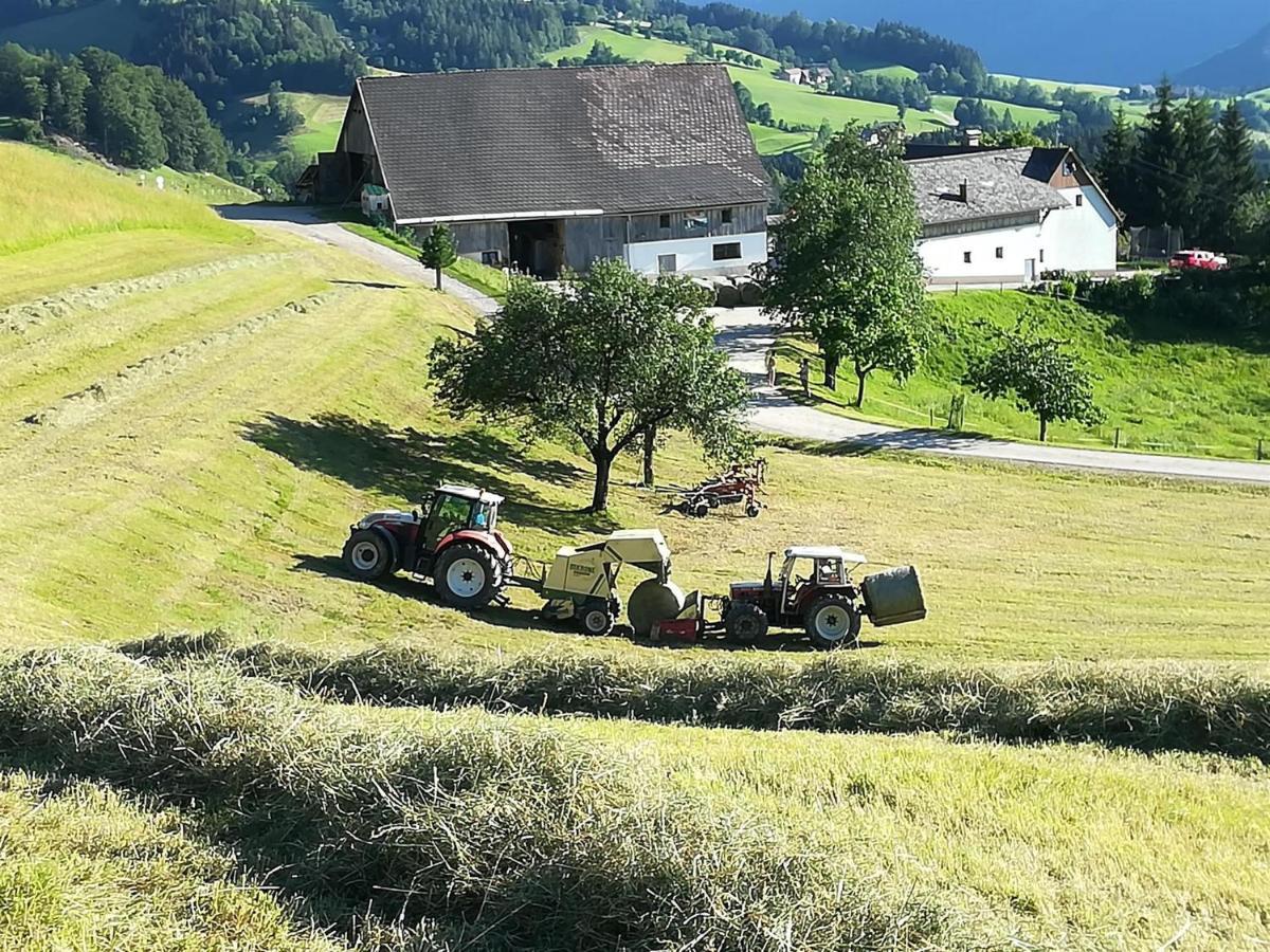 Familienbauernhof Imitz, Ferienwohnung シュピタル・アム・ピュールン エクステリア 写真