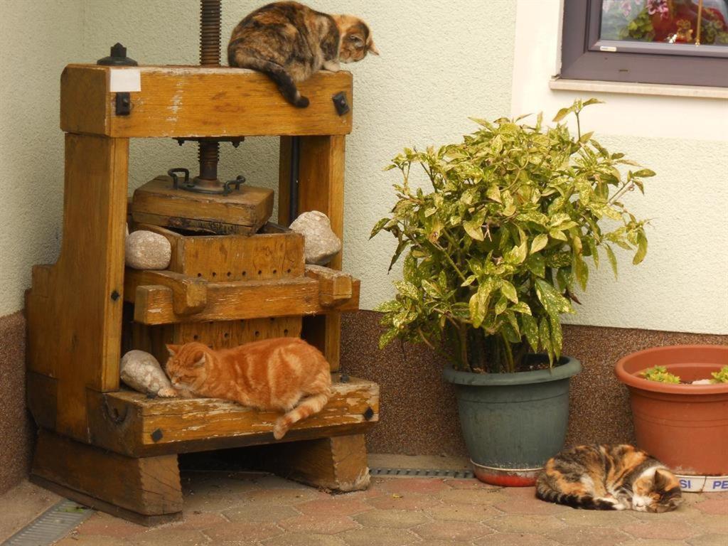 Familienbauernhof Imitz, Ferienwohnung シュピタル・アム・ピュールン エクステリア 写真