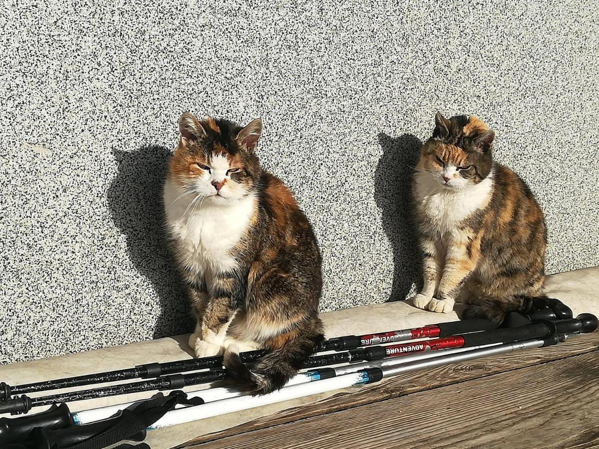Familienbauernhof Imitz, Ferienwohnung シュピタル・アム・ピュールン エクステリア 写真